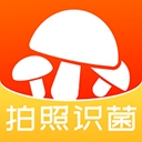 菌窝子app